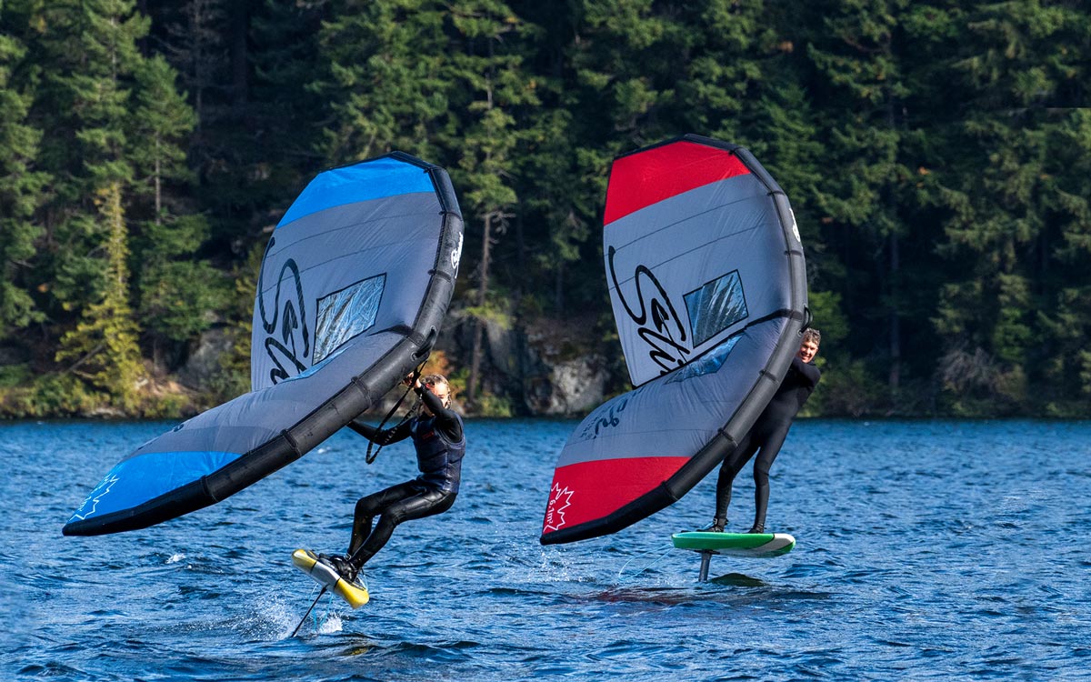 Stinger Wind Wings